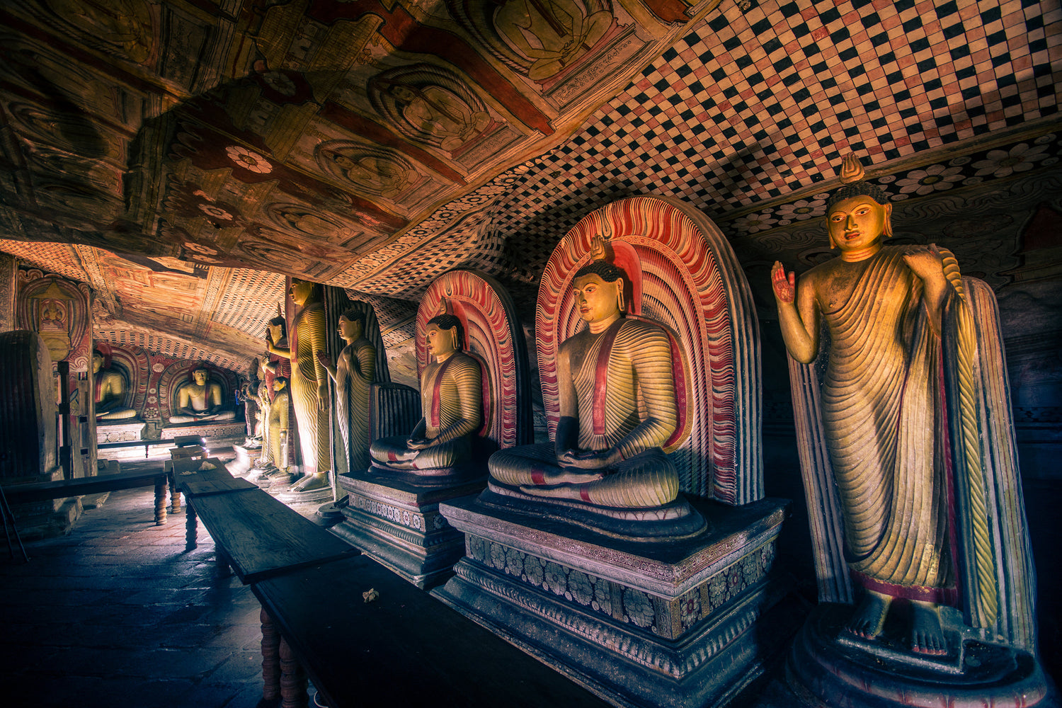 Activities from Dambulla