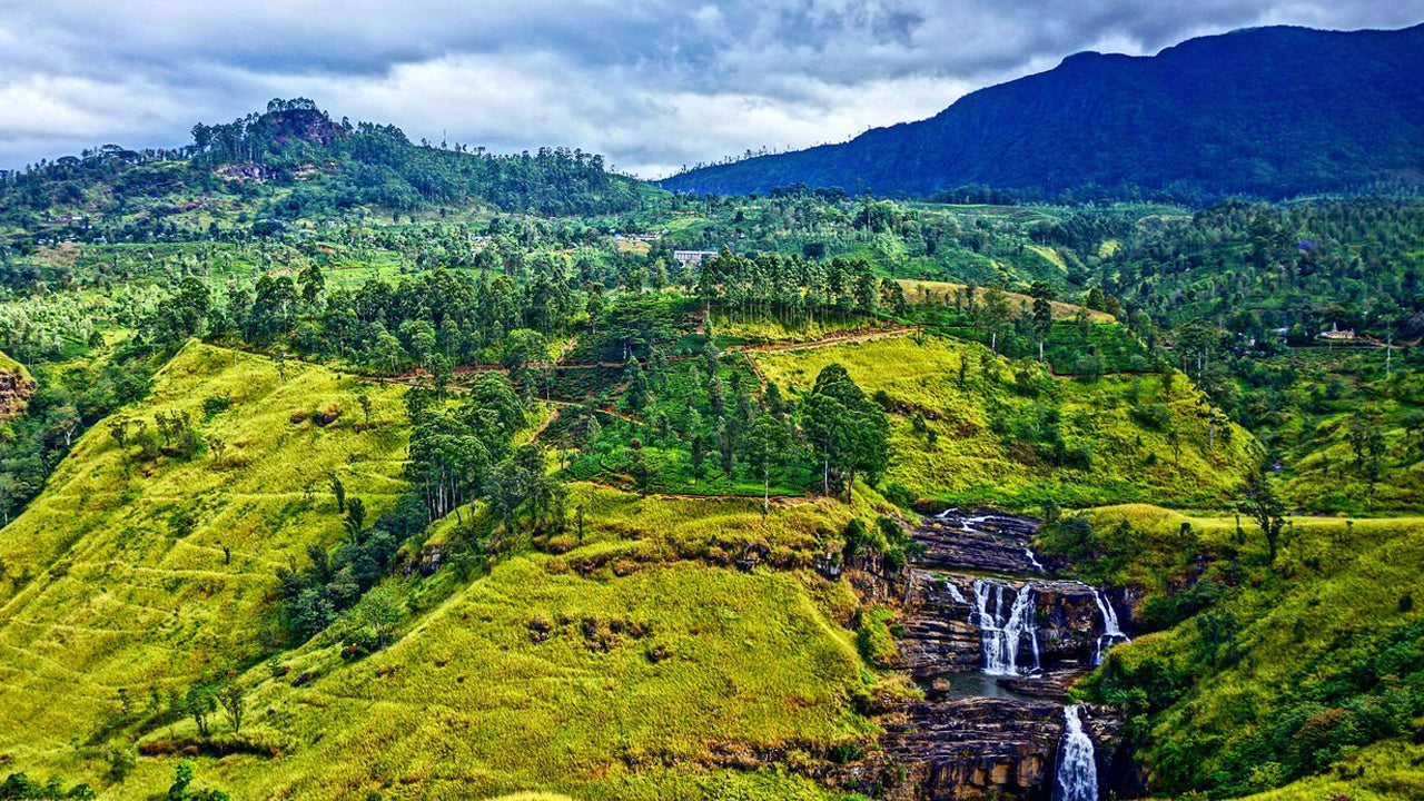 Activities from Nuwara Eliya