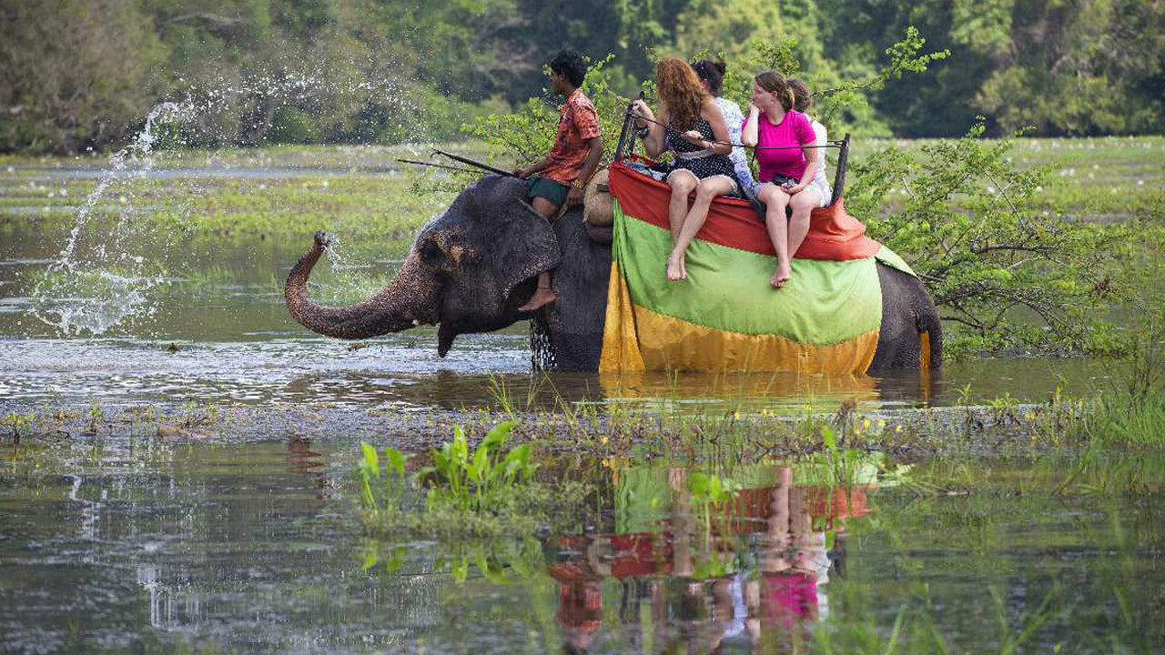 Day Tours from Habarana