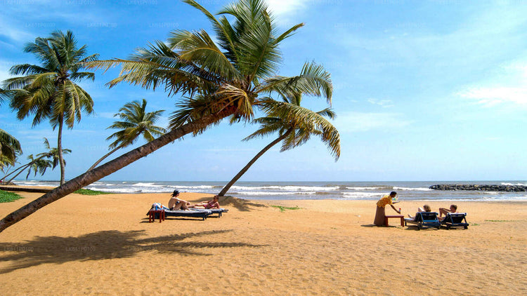 City Tours from Negombo