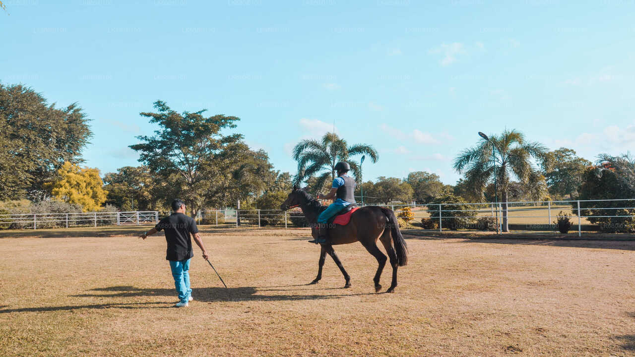 Horse-Riding from Dambulla