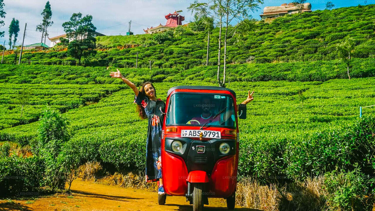 Tuk Tuk Tours from Ella