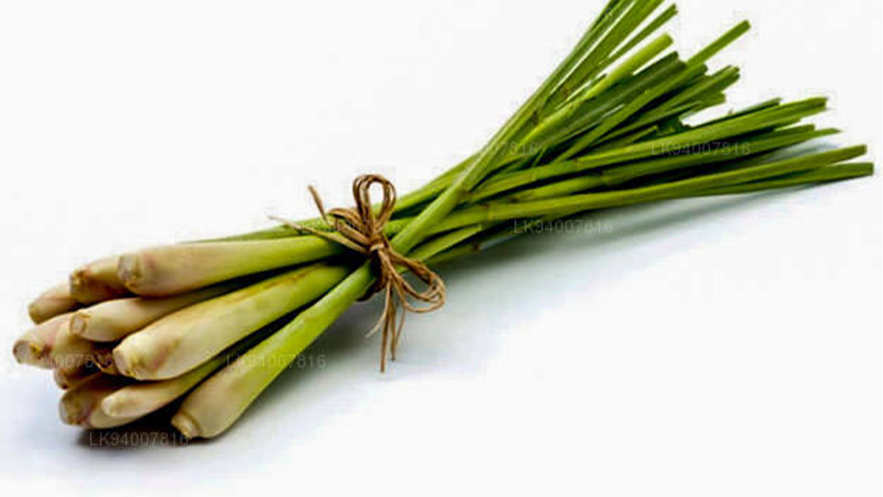 Lakpura Lemongrass and Citronella (Sera)