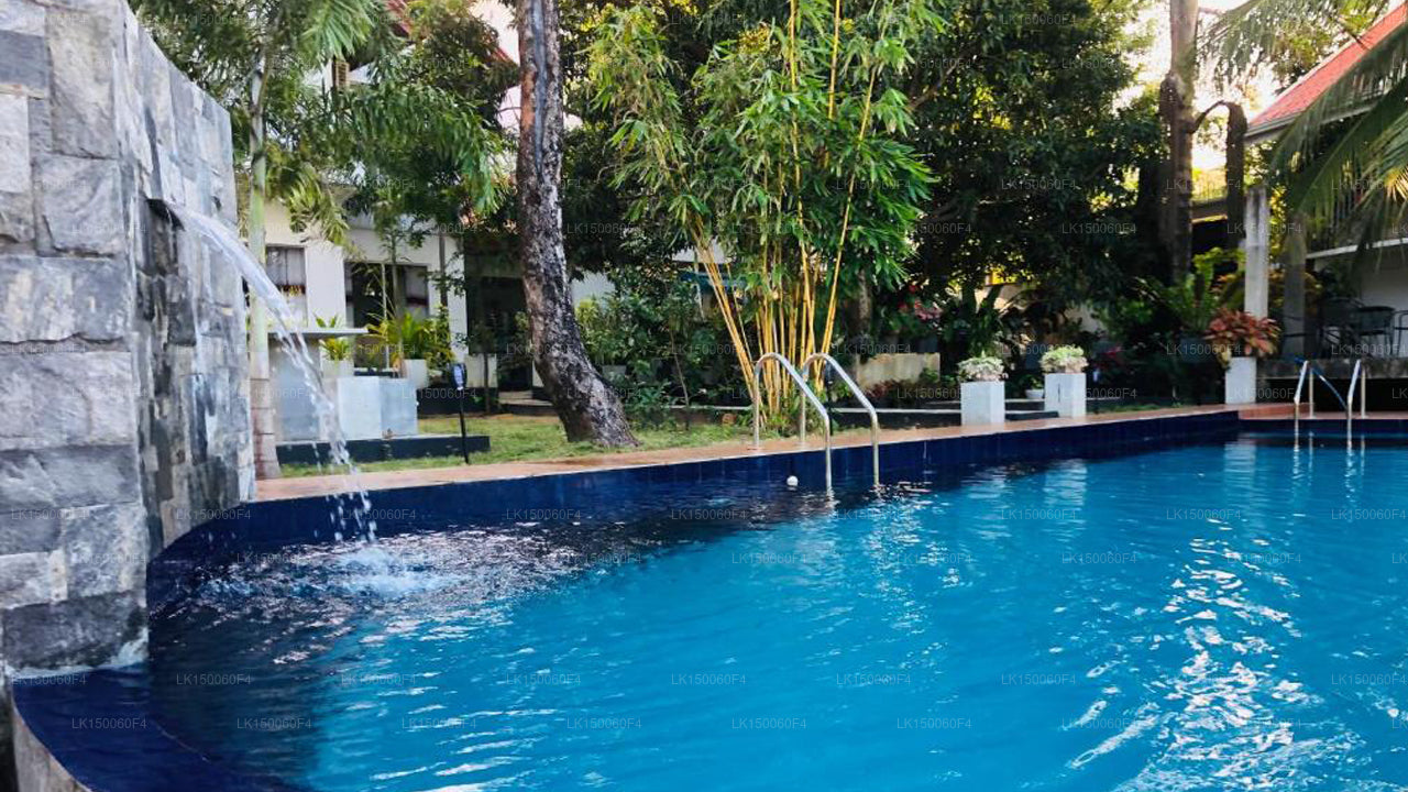 White Land City Hotel, Dambulla