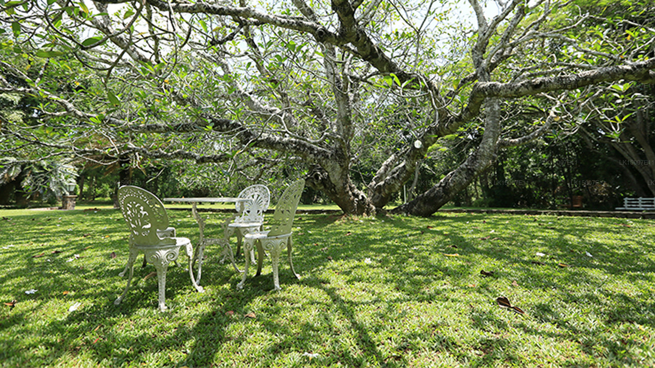 Horathapola Estate, Kurunegala