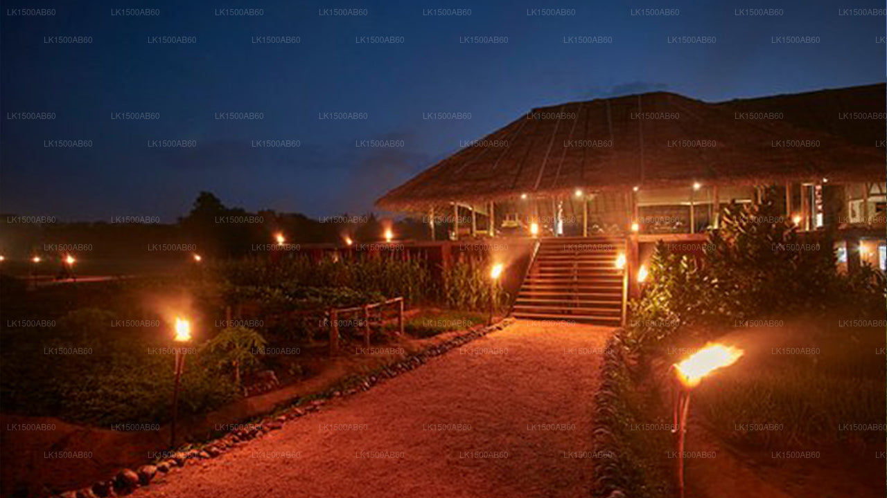 Amuna Ayurveda Retreat, Sigiriya