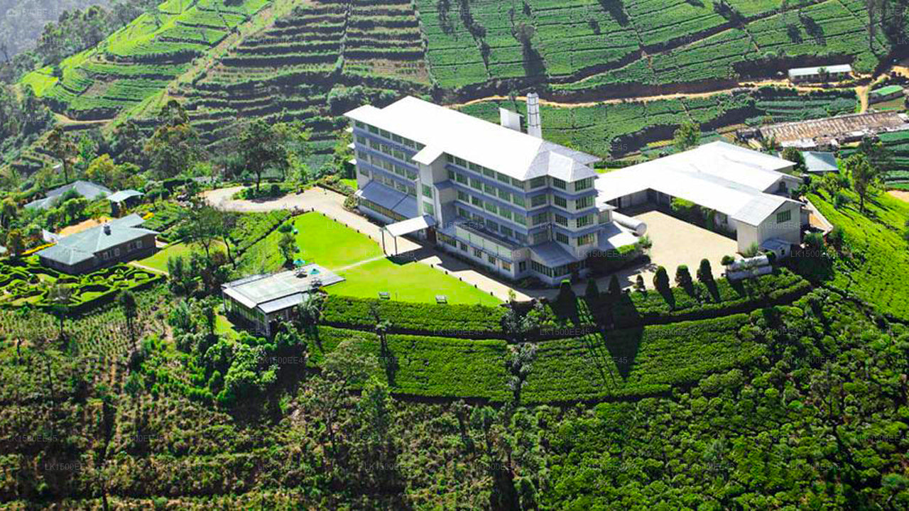 Heritance Tea Factory, Nuwara Eliya