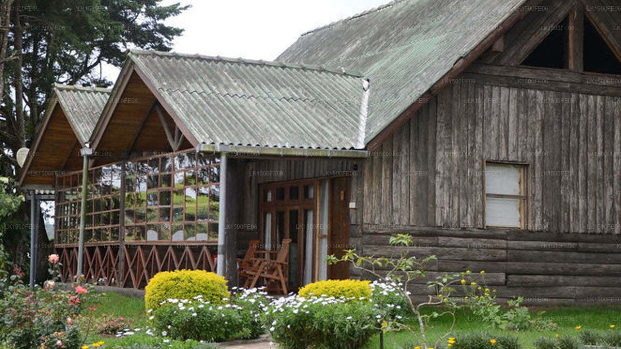 Calamander Lake Gregory, Nuwara Eliya