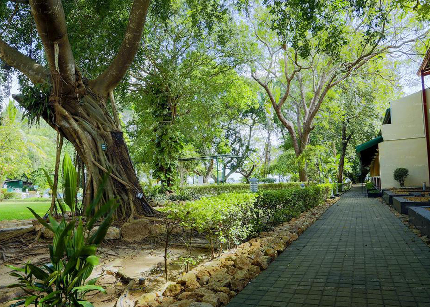 Miridiya Lake Resort, Anuradhapura