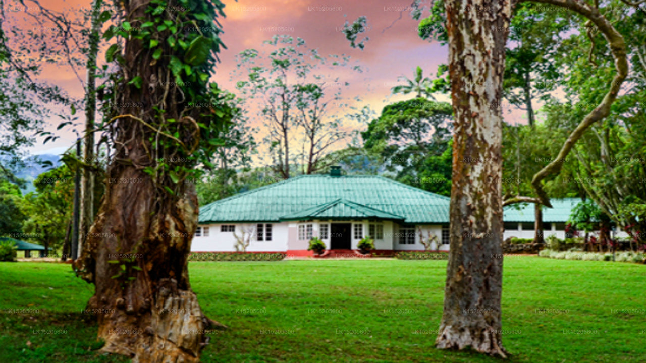 Galaha Tea Bungalow, Peradeniya