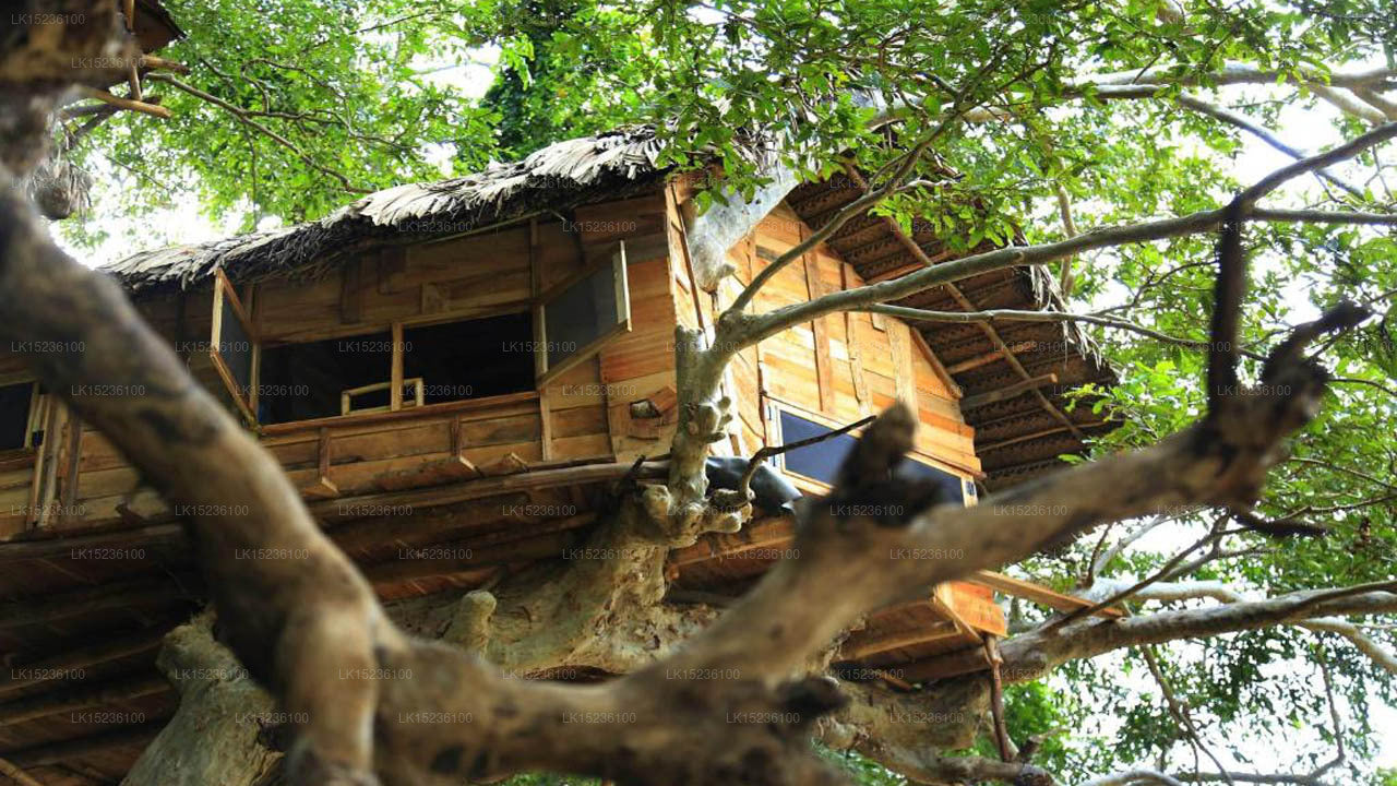 Villa Kumbuk Tree House, Tissamaharama