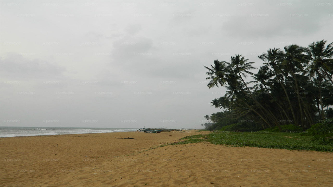 Green Shadows Beach Hotel, Kalutara