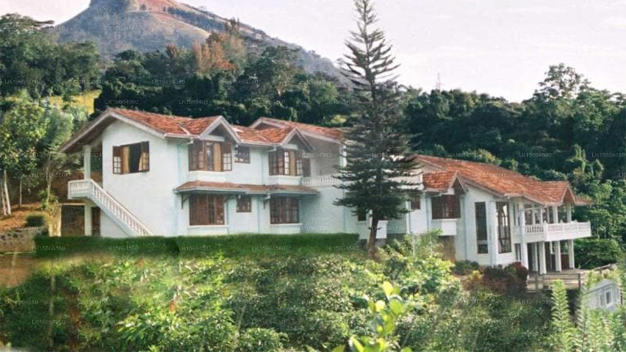 Alcam Holiday Home, Kandy