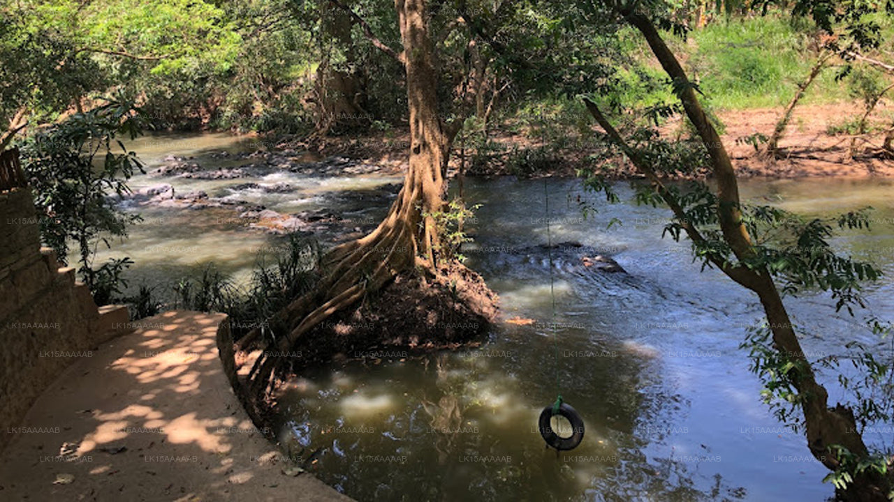 Atha Safari Resort, Udawalawe