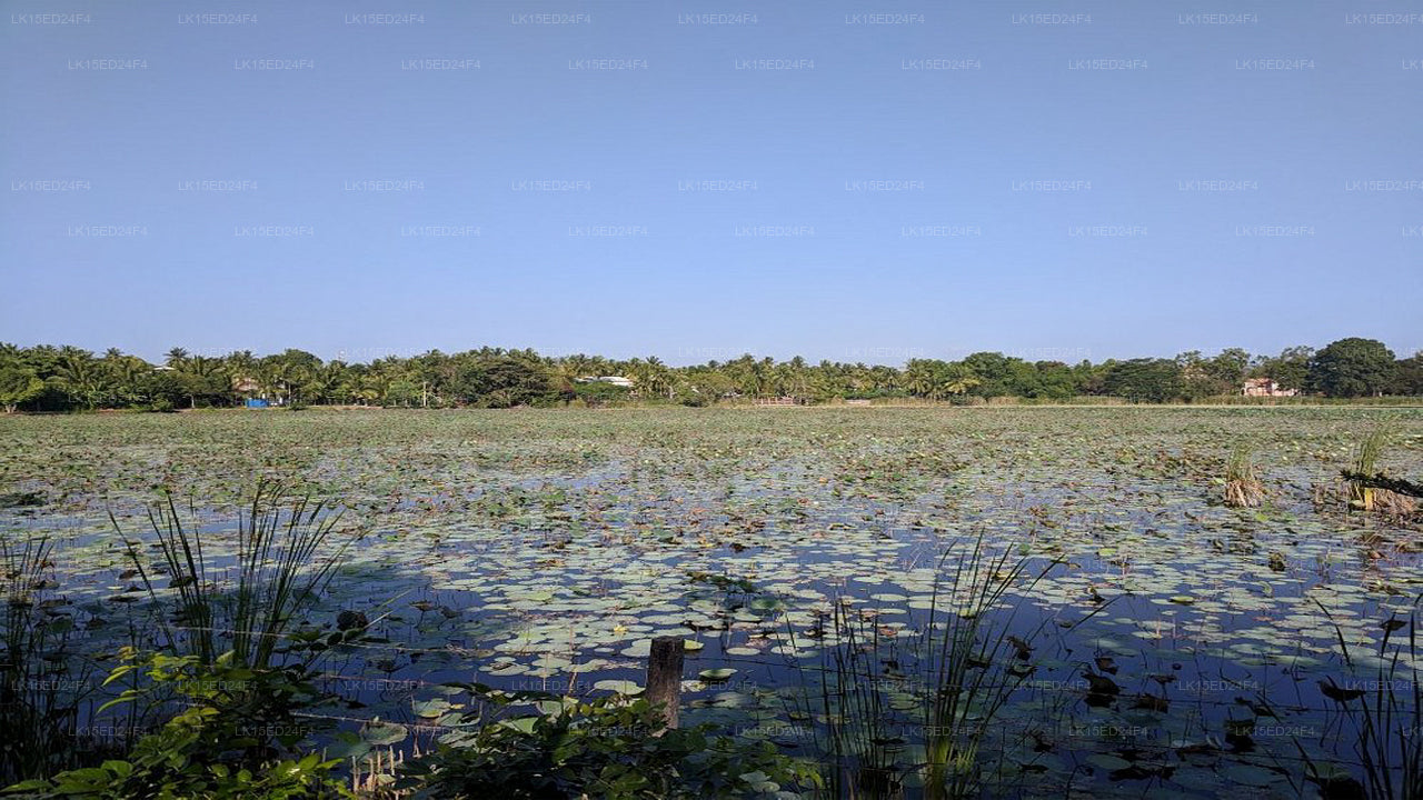 Heritage Lake View, Anuradhapura