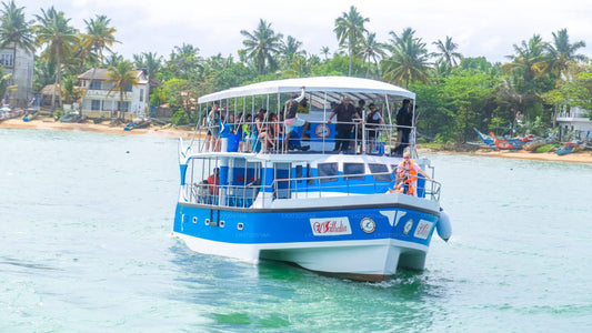 Whale Watching Boat Tour from Balapitiya