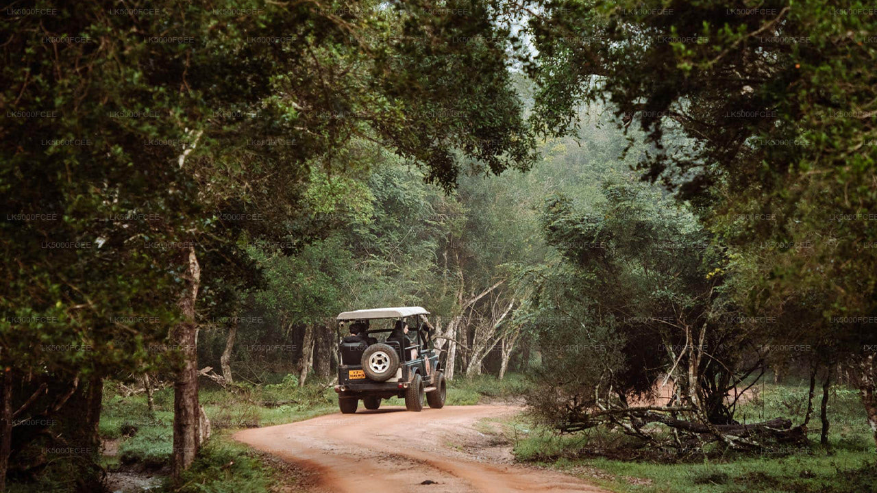 Wilpattu National Park Safari from Kandy