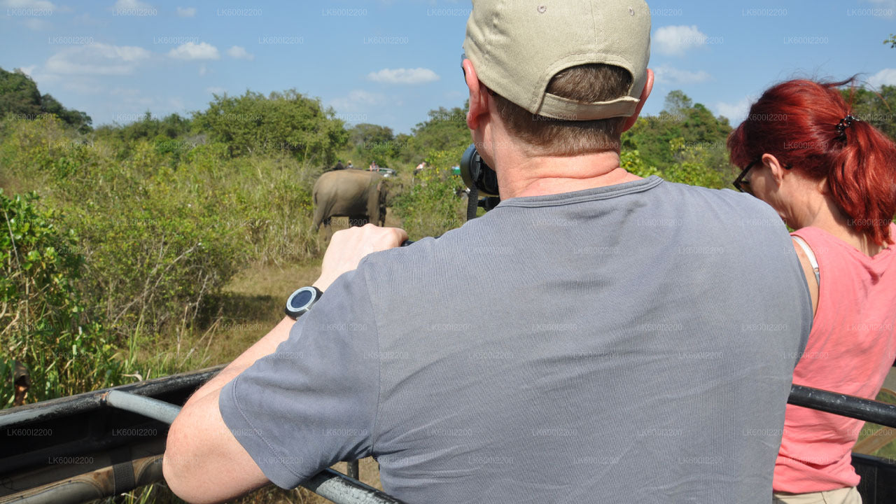 Wilpattu National Park Safari from Dambulla