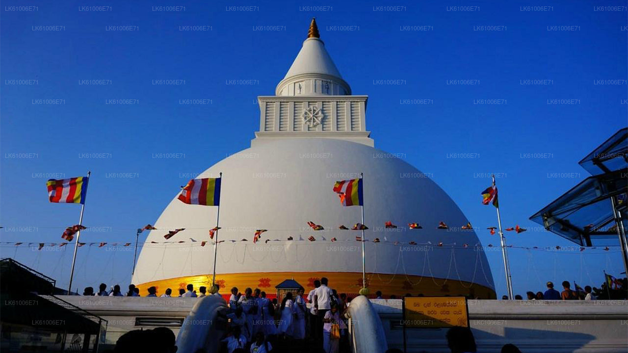 Hambantota City Tour from Hambantota Seaport