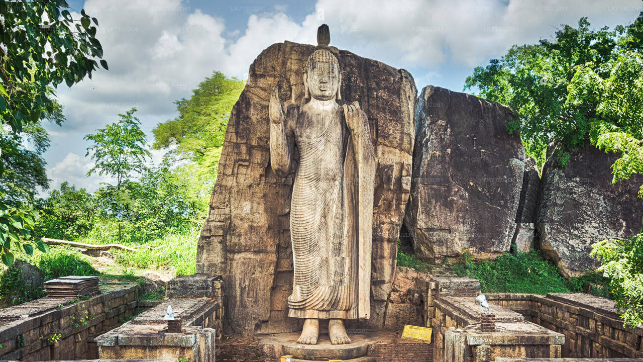 Avukana Buddha Statue Entrance Tickets