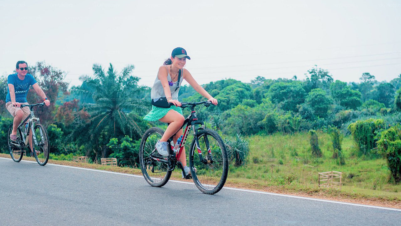 Fun Family Bike Ride From Galle