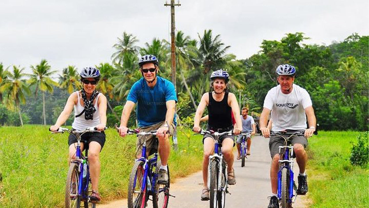 Fun Family Bike Ride From Galle