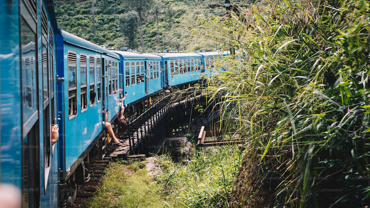 Train Ticket Reservation from Kandy to Ella, Nanu Oya, and Badulla