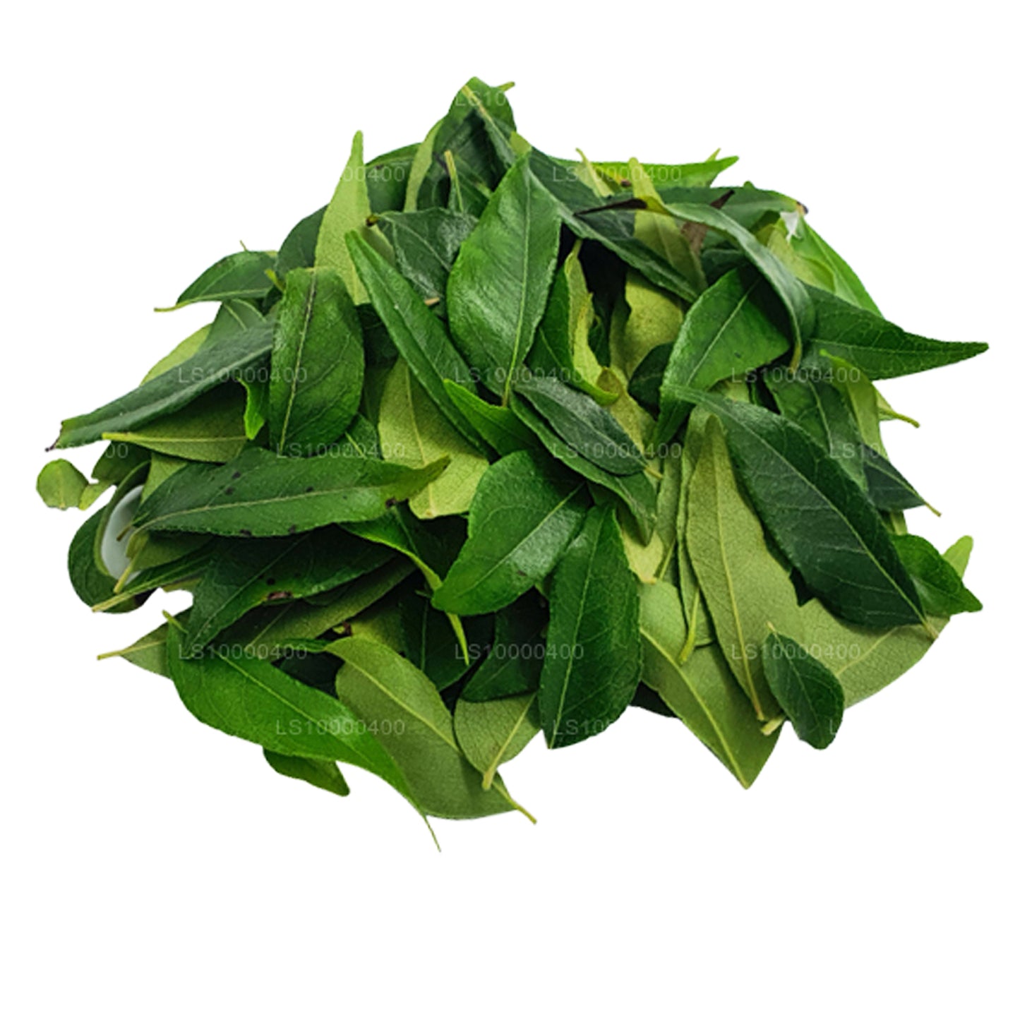 Lakpura Curry Leaves Fresh (100g)