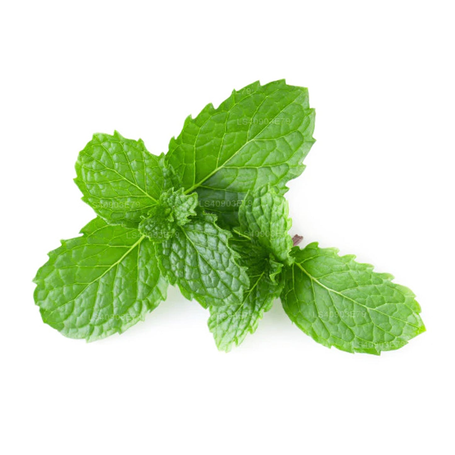 Lakpura Peppermint Essential Oil (15ml)