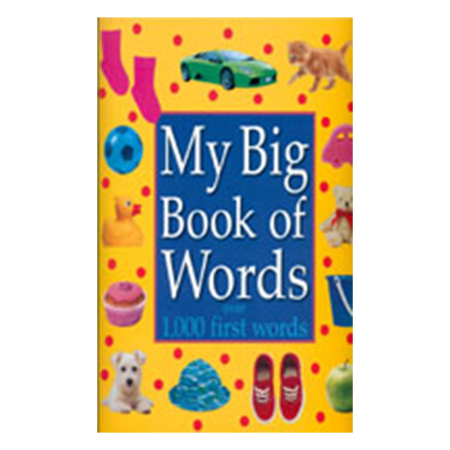 My Big Book Of words