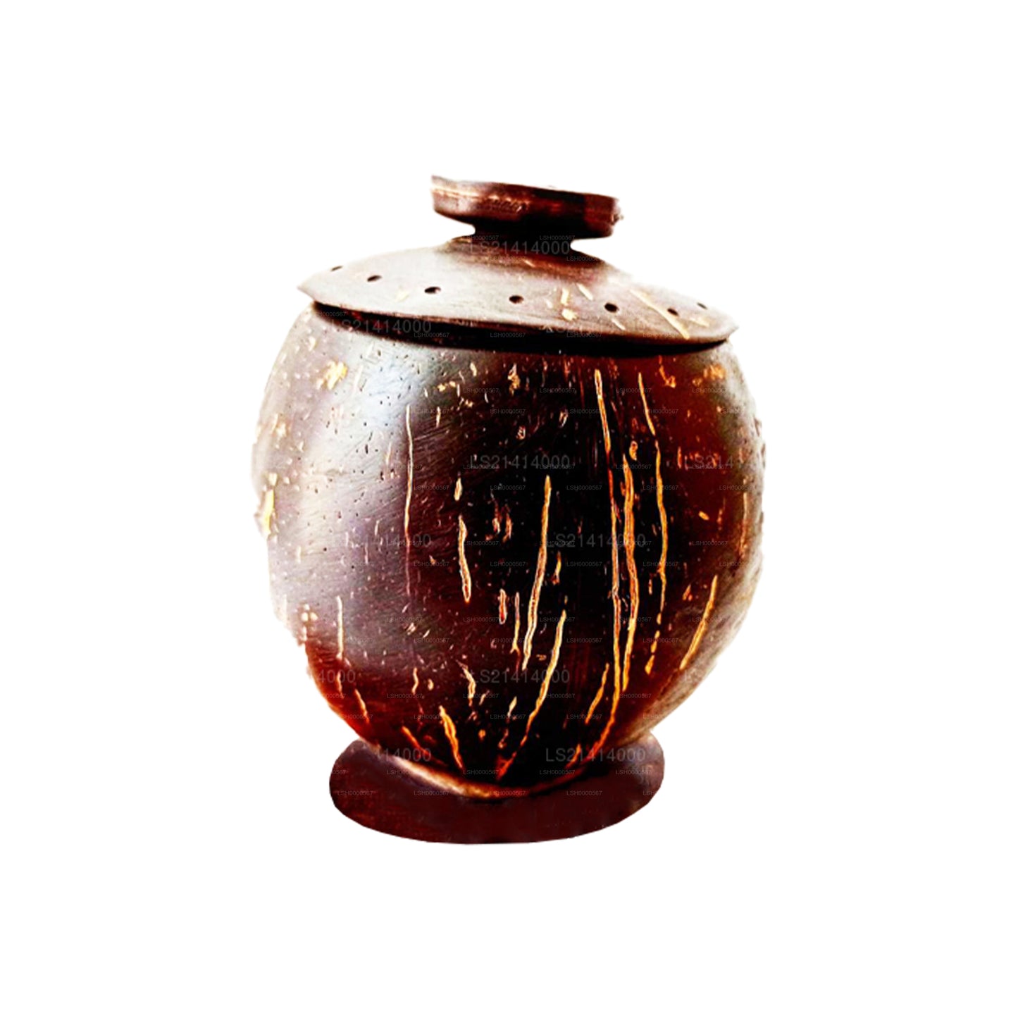 Coconut Shell Spice Bottle and Spoon