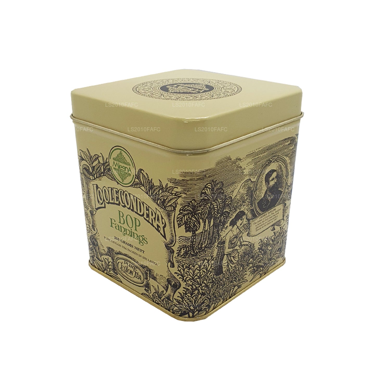 Mlesna Loolecondera BOP Fannings Tea Caddy