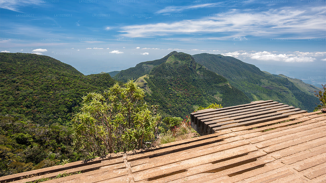 Misty Mountain Trails from Galle (2 Days)