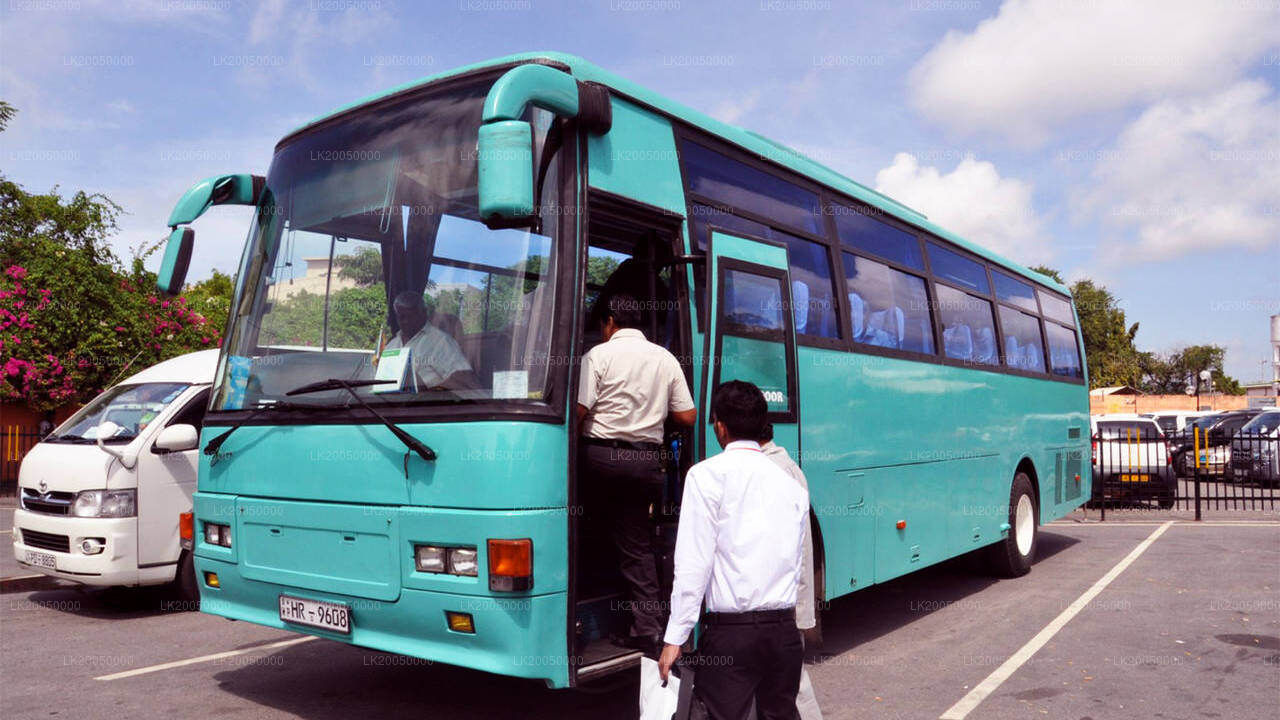Chauffeur Driven Bus (Large) Rental