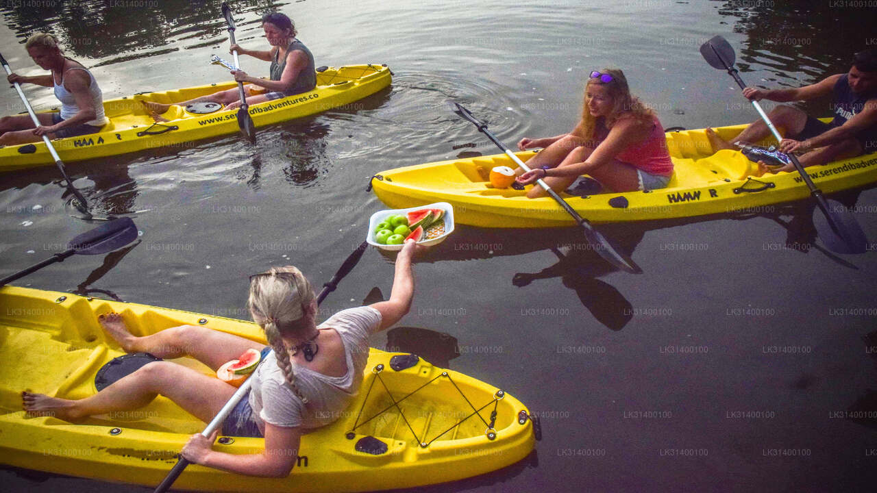 Kayaking from Ahungalla