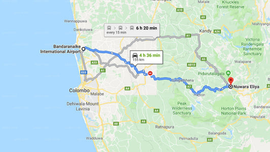 Transfer between Colombo Airport (CMB) and Sanasa Holiday Resort, Nuwara Eliya
