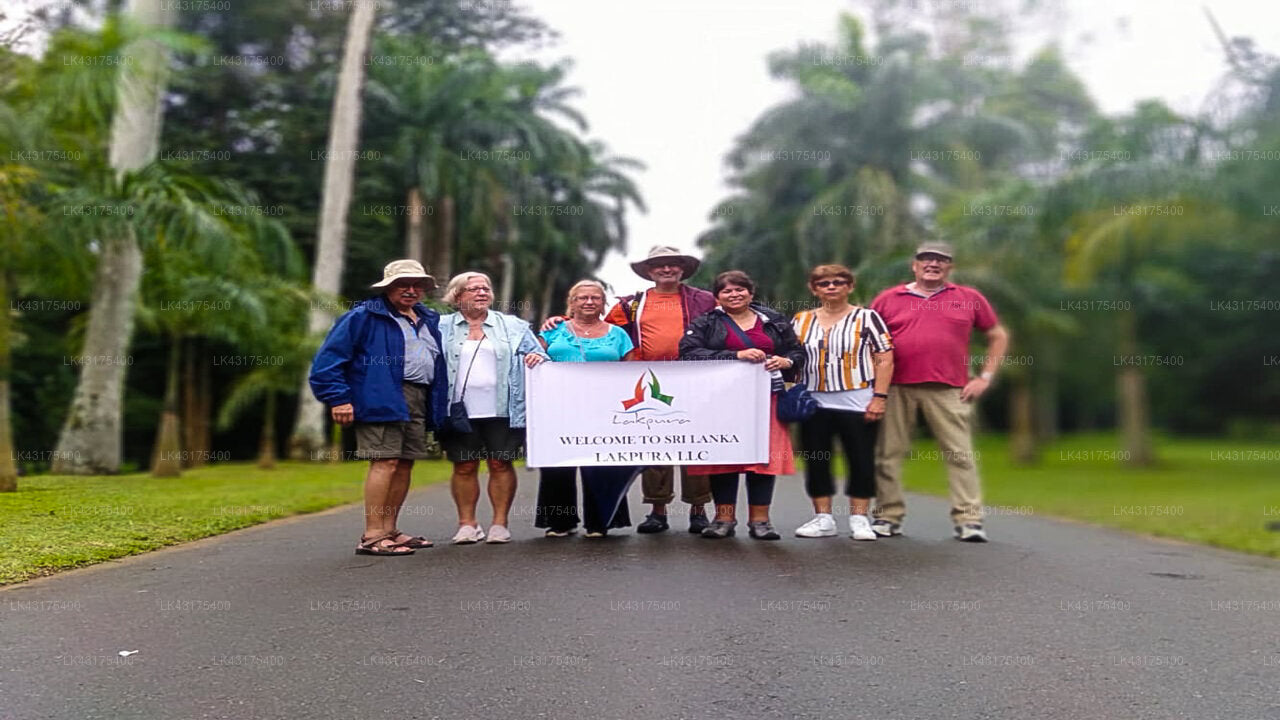 Transfer between Colombo Airport (CMB) and Oakray Tea Bush, Ramboda