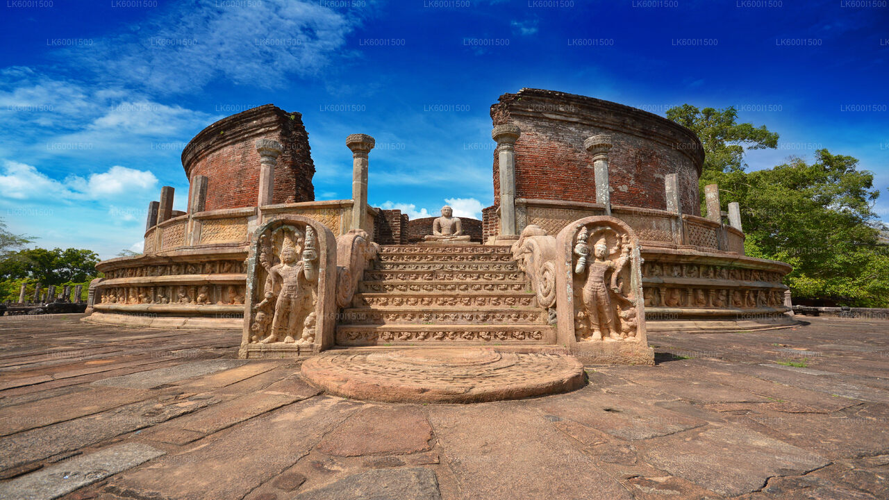 Polonnaruwa Ancient Kingdom and Wild Elephant Safari from Dambulla