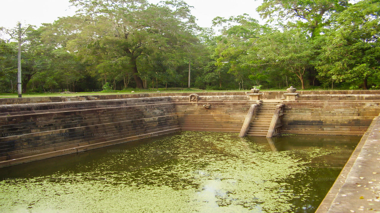 Anuradhapura Buddhist Icons Tour from Habarana