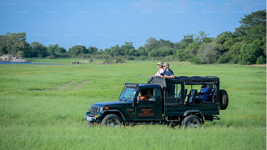 Udawalawe National Park Safari from Tangalle