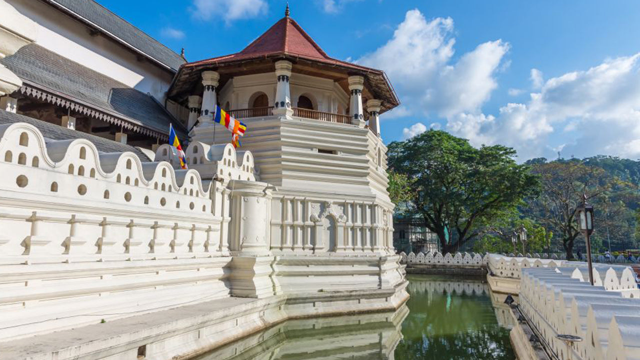 Pinnawala and Kandy Tour from Colombo