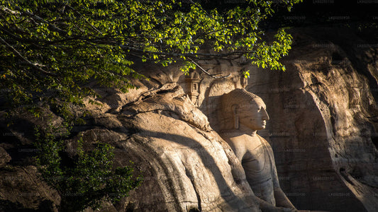 Polonnaruwa Ancient Kingdom and Wild Elephant Safari from Pasikuda