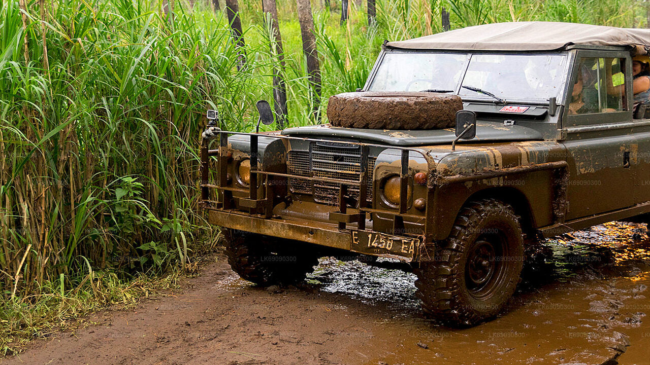 4WD Tour to Ella's Iconic Bridges from Ella