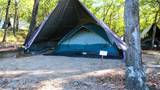 Camping at Yala National Park
