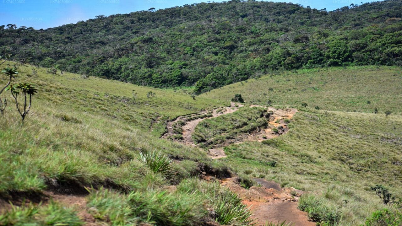 Horton Plains National Park from Ella