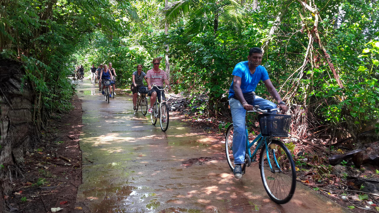 Lagoon Village by Bicycle from Galle