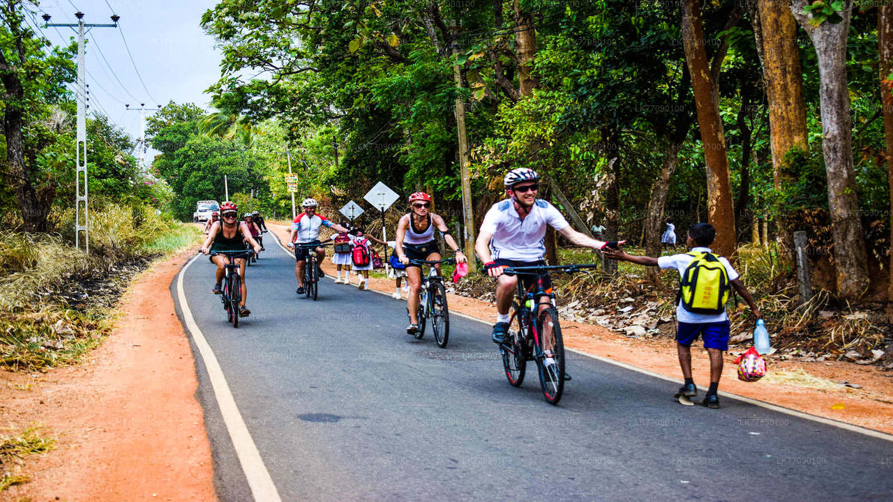 Cave Temple Cycling Tour from Ella