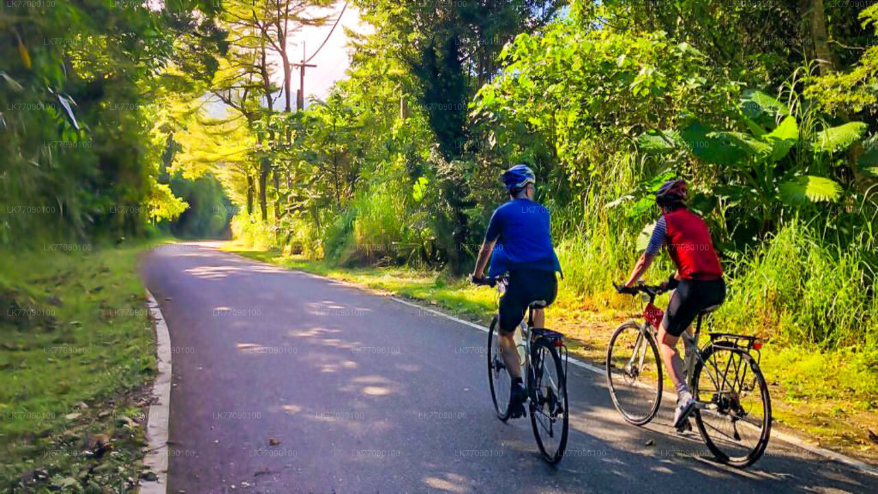 Cave Temple Cycling Tour from Ella