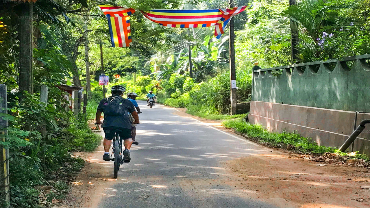 Cycling Adventure from Elpitiya