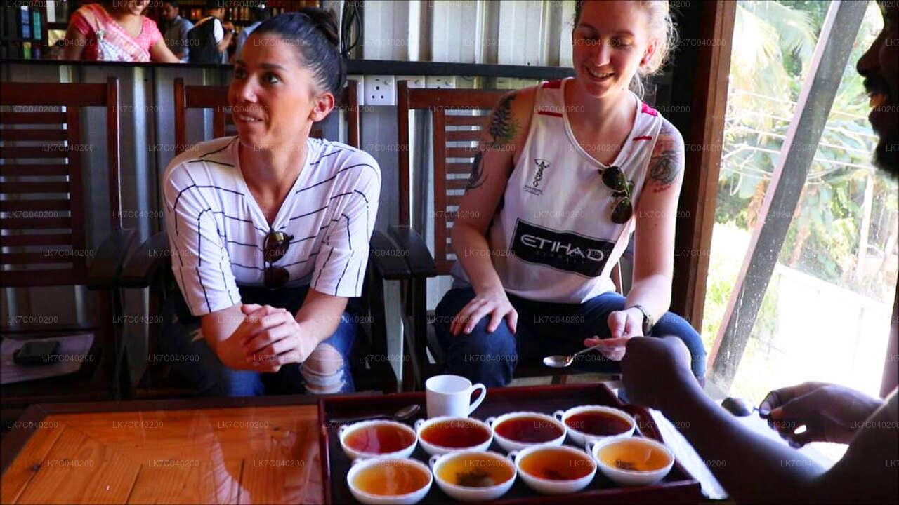 Ceylon Tea Tasting from Galle
